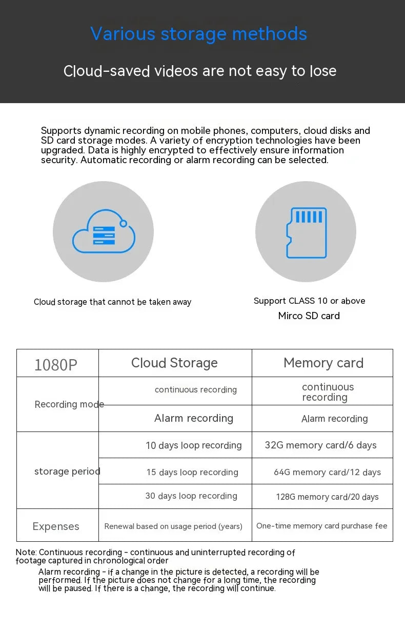 1080P Bear Home Security Camera